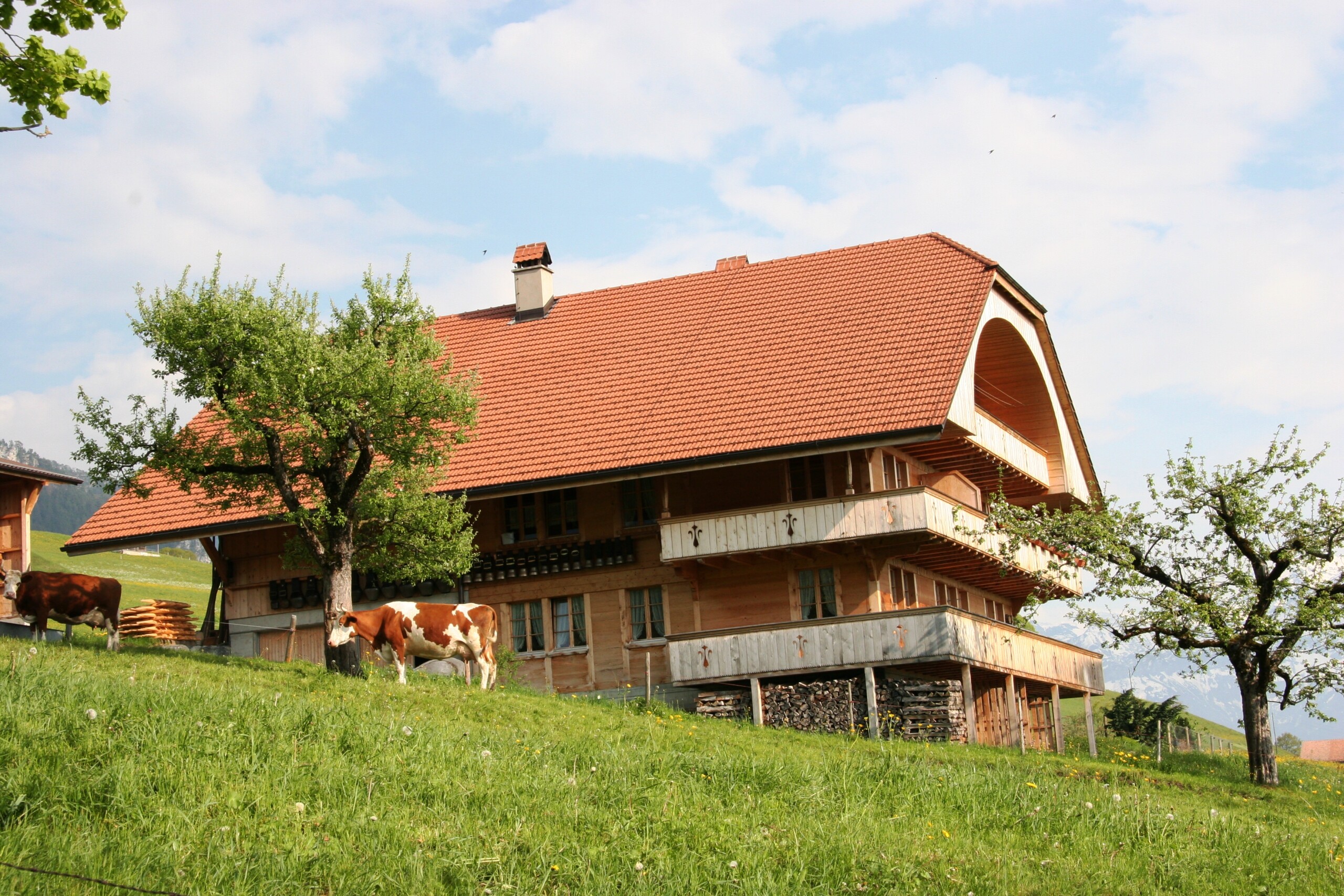 Baunerhaus mit Kuh